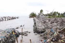Khu vực bờ biển Tây Cà Mau bị sạt lở, đoạn giáp ranh xã Vân Khánh Tây, huyện An Minh, tỉnh Kiên Giang. (Ảnh: Huỳnh Anh/TTXVN)