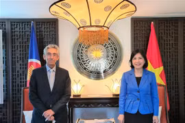 Đại sứ Lê Thị Tuyết Mai và Giám đốc điều hành Trung tâm Phương Nam Carlos Correa trong buổi làm việc tại trụ sở Phái đoàn. (Ảnh: Tố Uyên/TTXVN)