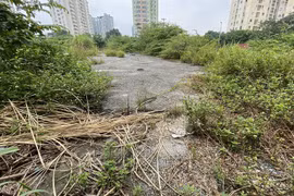 Một dự án bỏ hoang. (Nguồn: Báo Diễn đàn Doanh nghiệp)