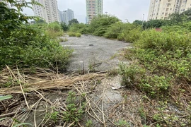 Một dự án bỏ hoang. (Nguồn: Báo Diễn đàn Doanh nghiệp)