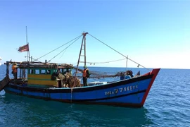 Tàu ĐNa 77111TS khai thác giã cào trái phép trên vùng biển ven bờ ở thị trấn Lăng Cô. (Ảnh: TTXVN phát)