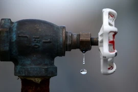 Ảnh minh họa. (Nguồn: AFP/TTXVN)