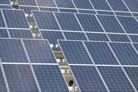 Ai Cập sẽ triển khai hàng loạt dự án năng lượng Mặt Trời 