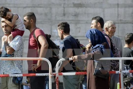 Ảnh minh họa. (Nguồn: AFP/TTXVN)