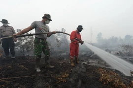 Nhân viên cứu hỏa nỗ lực khống chế các đám cháy rừng ở Rimbo Panjang, tỉnh Riau ngày 15/9. (Nguồn: AFP/TTXVN)