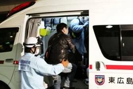 Hé lộ nguyên nhân máy bay Hàn Quốc hạ cánh chệch đường băng