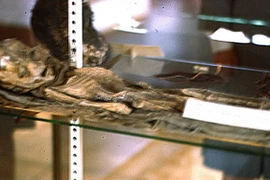 Người ngoài hành tinh tại Roswell chỉ là xác ướp cậu bé 2 tuổi?