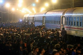 Người di cư tranh nhau lên tàu tại thị trấn Tovarnik, phía đông Croatia, giáp giới Serbia ngày 18/9. (Nguồn: AFP/TTXVN)