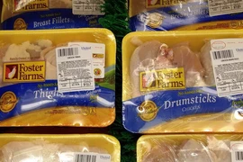 Ảnh minh họa. (Nguồn: AFP/TTXVN)v