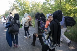 Người di cư từ Afghanistan tại khu vực biên giới Hungary-Serbia ngày 18/6. (Nguồn: THX/TTXVN)