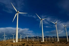Các tuabin gió tại nhà máy phong điện ở Palm Springs, bang California. Ảnh minh họa. (Nguồn: THX/TTXVN)