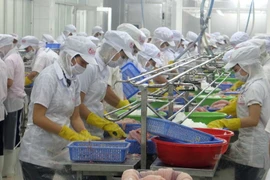 Tiền Giang khai thác hiệu quả các khu công nghiệp, cụm công nghiệp