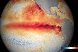 Hình ảnh biểu thị mức nhiệt độ bề mặt đại dương do NOAA công bố ngày 9/10. (Nguồn: Reuters/TTXVN)