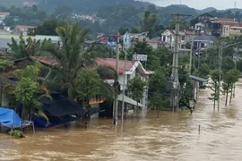 Nhiều ngôi nhà gần bờ sông ở khu vực thành phố Cao Bằng bị ngập sâu trong nước. (Ảnh: Quốc Đạt/TTXVN)