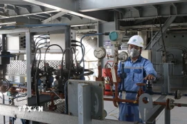 Một nhà máy điện rác. (Nguồn:: TTXVN)