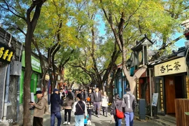 Dòng người tấp nập dọc tuyến phố với sắc vàng của lá thu và nét cổ kính của những ngôi nhà. (Ảnh: Quang Hưng/PV TTXVN tại Bắc Kinh)