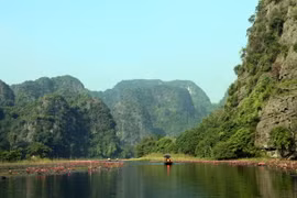 Hoa súng mang đến diện mạo mới, làm gia tăng trải nghiệm, hấp dẫn du khách khi đến tham quan tại Khu du lịch Tam Cốc, huyện Hoa Lư, tỉnh Ninh Bình. (Ảnh: Thùy Dung/TTXVN)