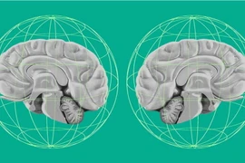 Ảnh minh họa. (Nguồn: Getty)