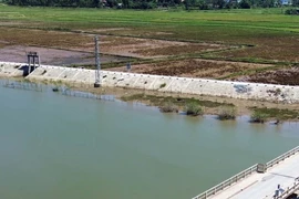 Quảng Bình: Cầu Sông Thai xuống cấp nghiêm trọng