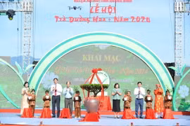 Các đại biểu thực hiện nghi thức trao cáy chè giống cho thế hệ trẻ vùng chè. (Ảnh: Thanh Vân/TTXVN)