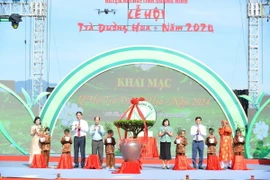 Các đại biểu thực hiện nghi thức trao cáy chè giống cho thế hệ trẻ vùng chè. (Ảnh: Thanh Vân/TTXVN)