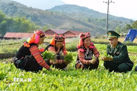 Tô thắm hình ảnh “Bộ đội Cụ Hồ” trong lòng nhân dân