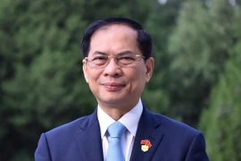 Phó Thủ tướng Bùi Thanh Sơn. (Ảnh: TTXVN)