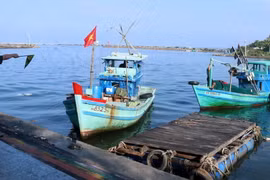 Cán bộ Trạm Biên phòng cửa khẩu cảng Dương Đông, Bộ đội Biên phòng Kiên Giang, thực hiện nhiệm vụ kiểm tra tàu cá ra vào cửa sông Dương Đông, thành phố Phú Quốc. (Ảnh: Lê Huy Hải/TTXVN)