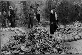 Một trong những hố chôn người được khai quật ở Campuchia. (Ảnh: TTXVN)