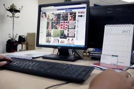 Ảnh minh họa. (Nguồn: Doãn Đức/Vietnam+)