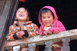 Ảnh minh họa. (Nguồn: Xuân Mai/Vietnam+)