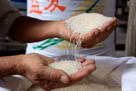 Gạo Việt Nam xuất khẩu đi Trung Quốc. )Ảnh: Hồng Đạt/TTXVN)