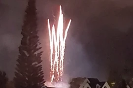 (Ảnh minh họa: TTXVN phát)