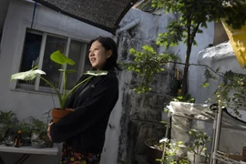 Góc vườn nhỏ của Baik Soo Hye. (Nguồn: Korea Times)