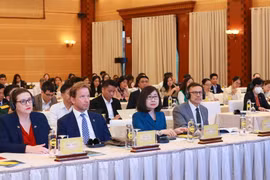 Đại biểu tham dự hội thảo. (Ảnh: Phương Hoa/TTXVN)