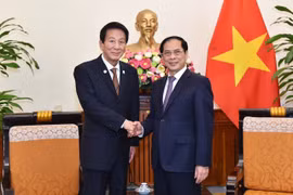 Bộ trưởng Ngoại giao Bùi Thanh Sơn tiếp nguyên Đại sứ Đặc biệt Nhật Bản-Việt Nam Sugi Ryotaro. (Ảnh: TTXVN phát)