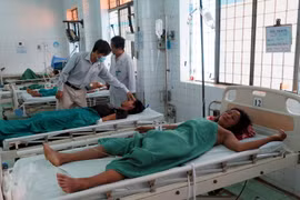 Cấp cứu bệnh nhân bị ngộ độc nấm. Ảnh minh họa. (Nguồn: TTXVN)