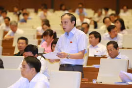 Đại biểu Quốc hội tỉnh Thừa Thiên-Huế Hà Huy Thông phát biểu ý kiến. (Ảnh: Doãn Tấn/TTXVN)