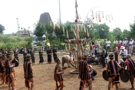 Bộ trưởng Hoàng Tuấn Anh: Cần loại bỏ các lễ hội bạo lực, phản cảm