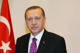 Thổ Nhĩ Kỳ bắt giữ một nghi can khủng bố gần Dinh Tổng thống