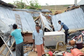 Ấn Độ: Bão lớn làm 30 người chết và hơn 100 người bị thương