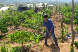 Còn nhiều hộ nghèo, Gia Lai khó đạt lộ trình xây nông thôn mới