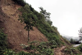 Ảnh minh họa. (Nguồn: TTXVN)