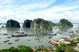 Đưa một số dự án du lịch ra khỏi vùng đệm Di sản Vịnh Hạ Long