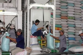 Chính phủ mua tạm trữ 1 triệu tấn gạo ở Đồng bằng sông Cửu Long