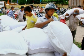 Cấp phát gạo cứu đói giáp hạt cho người dân huyện Hướng Hóa, Quảng Trị. (Ảnh: Hồ Cầu/TTXVN)