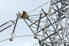 Ảnh minh họa. (Nguồn: TTXVN)