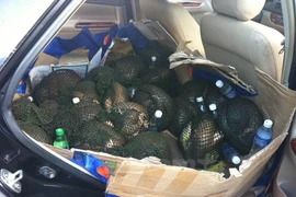 Bắc Ninh phản ứng về thông tin bán đấu giá động vật hoang dã