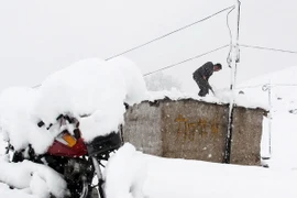 Trung Quốc: Tỉnh Vân Nam mất hơn 140 triệu USD vì mưa tuyết