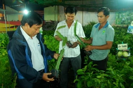 Khách tham quan một gian hàng tại Festival. (Ảnh: Phước Ngọc/TTXVN) 